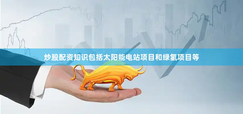 炒股配资知识包括太阳能电站项目和绿氢项目等