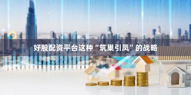 好股配资平台这种“筑巢引凤”的战略
