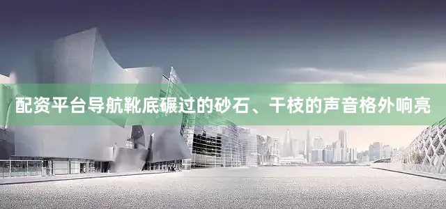 配资平台导航靴底碾过的砂石、干枝的声音格外响亮